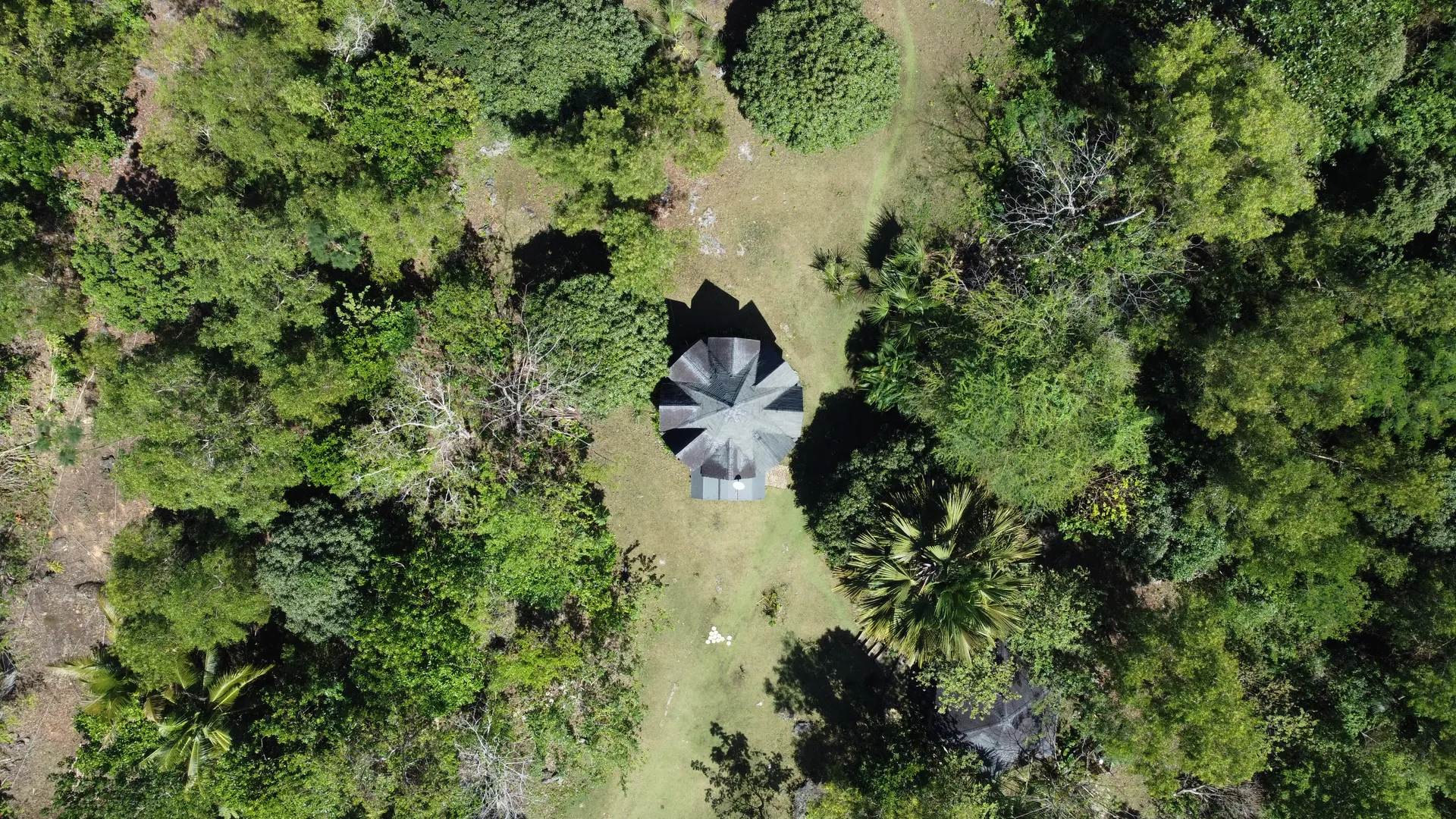 Overhead drone view of a circular villa surrounded by tropical planting